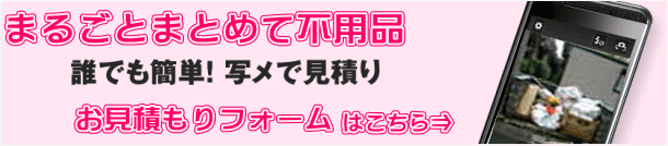 �ۂ��ƕs�p�i�����ς���t�H�[��